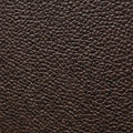 Elatheria Treasure pebbled leather antique jewelry trunk chest velvet lined multi tier
