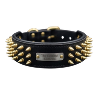 The Sentinel | Personalised Buffalo Leather Spiked Dog Collar with Engraved Name Plate