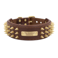The Sentinel | Personalised Buffalo Leather Spiked Dog Collar with Engraved Name Plate