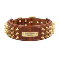 The Sentinel | Personalised Buffalo Leather Spiked Dog Collar with Engraved Name Plate