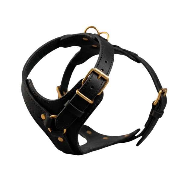 The Companion Walk | Personalised Leather No-Pull Dog Harness