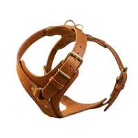 The Companion Walk | Personalised Leather No-Pull Dog Harness