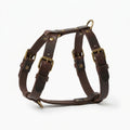The Companion Walk personalised leather dog harness, dark brown full-grain leather, hero angle with brass hardware