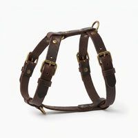 The Companion Walk personalised leather dog harness, dark brown full-grain leather, hero angle with brass hardware