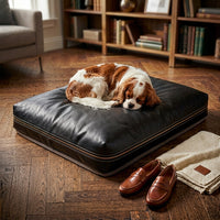 Cavalier King Charles Spaniel resting on The Haven black leather orthopaedic dog bed at home