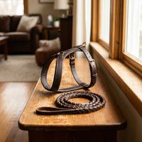 The Companion Walk leather dog harness paired with a matching braided leather leash