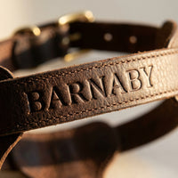 Dog's name deep-embossed into leather strap on The Companion Walk personalised harness