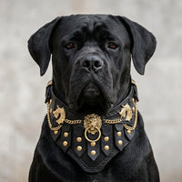 Dog wearing The Regal buffalo leather collar, front view showing lion emblem