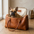 Small dog sitting inside The Voyager leather pet tote