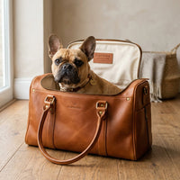 Small dog sitting inside The Voyager leather pet tote