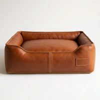 Pet resting on Elatheria Refuge leather sofa bed at home