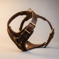 Close-up of brass buckle and D-ring hardware on The Companion Walk leather dog harness