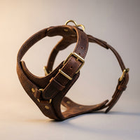 Close-up of brass buckle and D-ring hardware on The Companion Walk leather dog harness