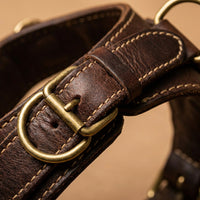 Chest strap detail of The Companion Walk leather dog harness showing fit and stitching