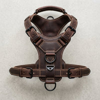 The Patrol leather working dog harness with top handle, Elatheria