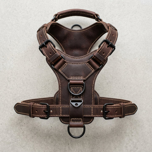 The Patrol leather working dog harness with top handle, Elatheria