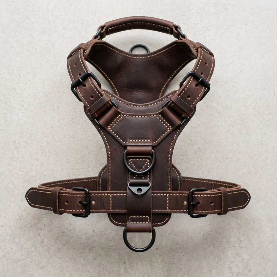 The Patrol leather working dog harness with top handle, Elatheria