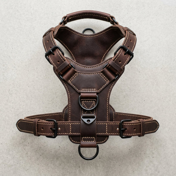 The Patrol leather working dog harness with top handle, Elatheria