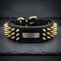 The Sentinel spiked buffalo leather dog collar with name plate, Elatheria