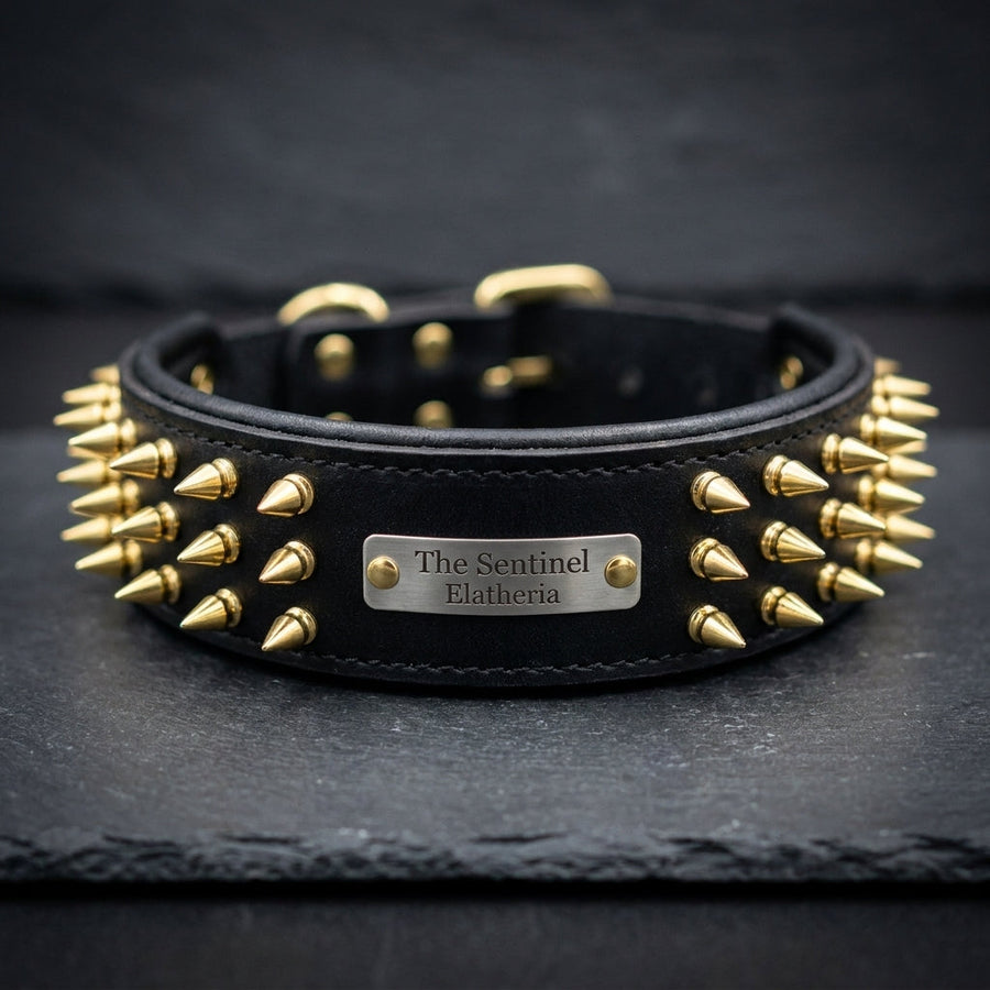 The Sentinel spiked buffalo leather dog collar with name plate, Elatheria