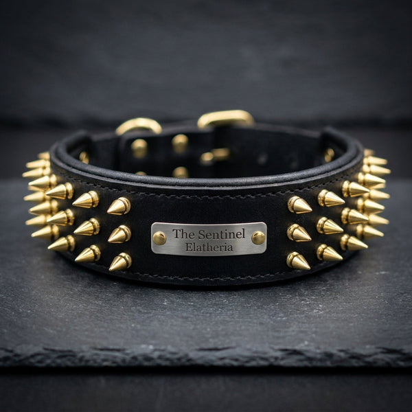 The Sentinel spiked buffalo leather dog collar with name plate, Elatheria