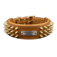 The Sentinel | Personalised Buffalo Leather Spiked Dog Collar with Engraved Name Plate